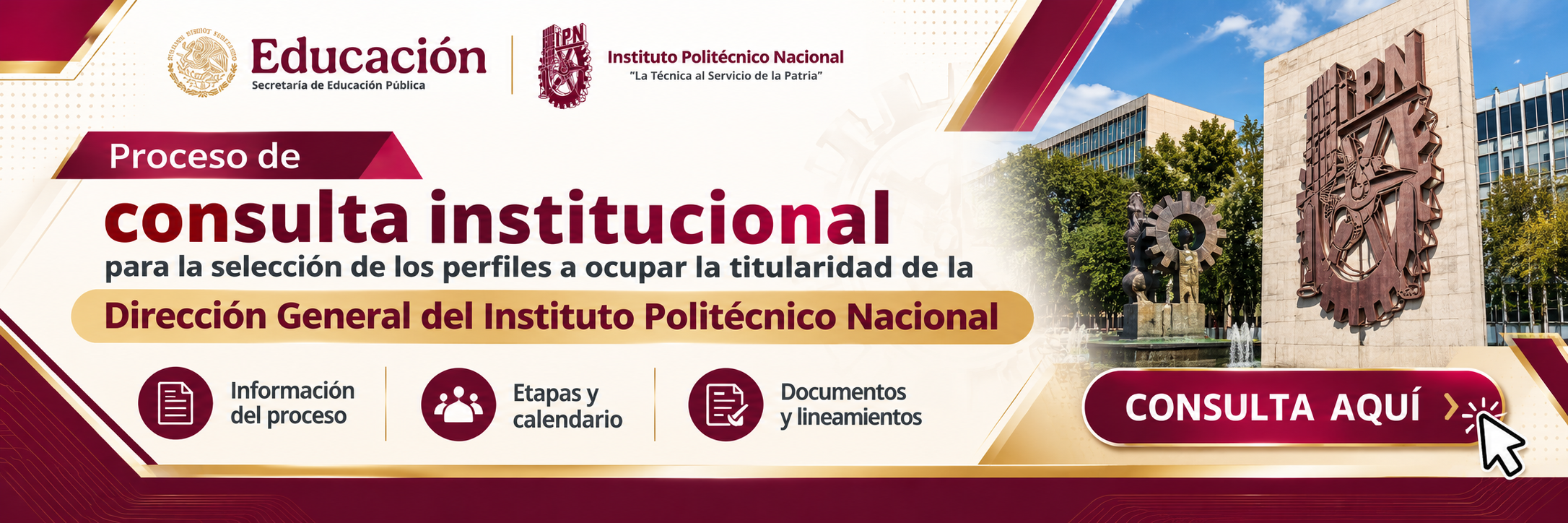 consulta_institucional_del_ipn.png