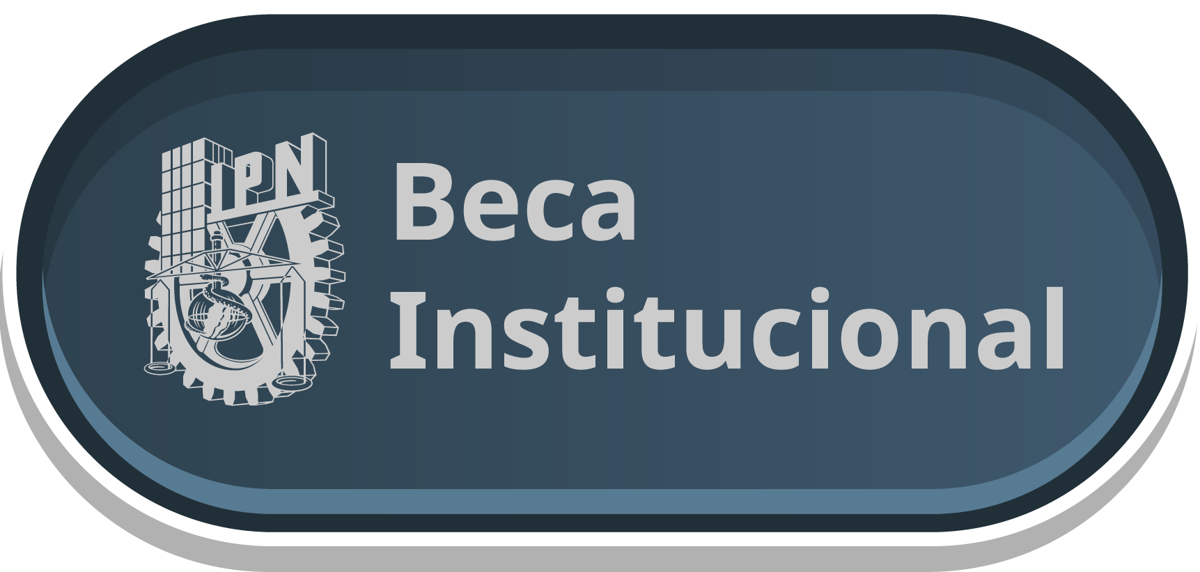 BECA INSTITUCIONAL