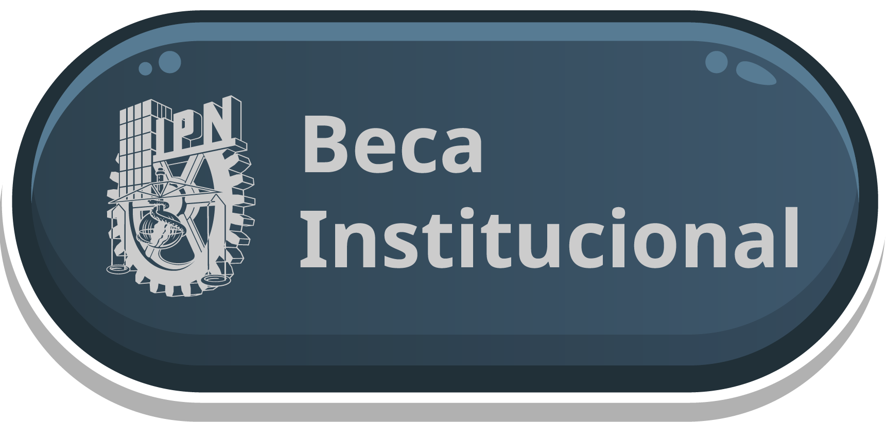 BECA INSTITUCIONAL